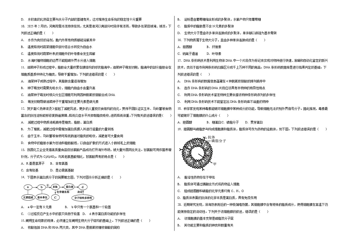 安徽省阜阳市临泉县田家炳实验中学（临泉县教师进修学校）2025-2026学年高一上学期11月期中生物试题第2页