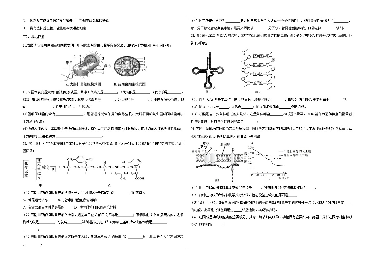 安徽省阜阳市临泉县田家炳实验中学（临泉县教师进修学校）2025-2026学年高一上学期11月期中生物试题第3页