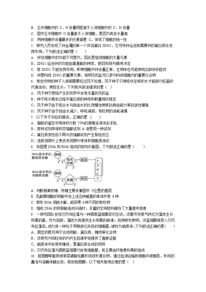 湖北省荆州中学2025-2026学年高一上学期11月期中考试生物试卷第2页
