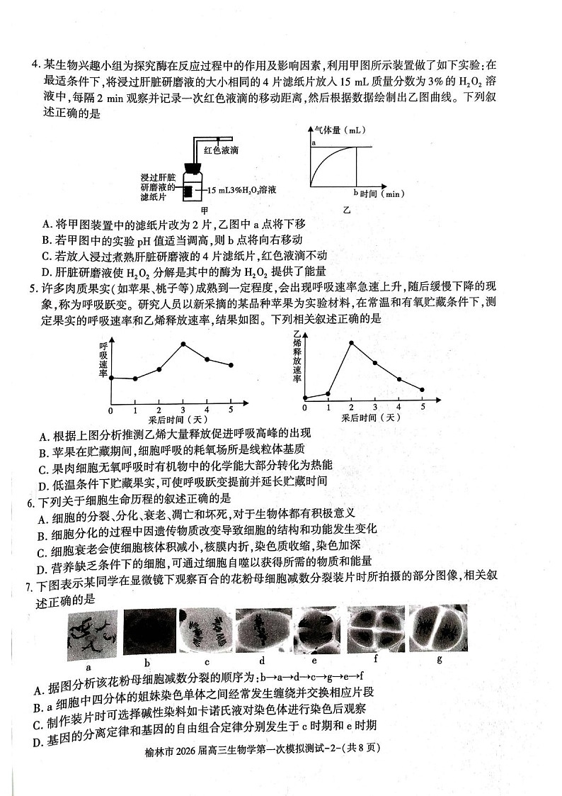 陕西省榆林市2025-2026学年高三上学期11月高考一模生物试卷第2页