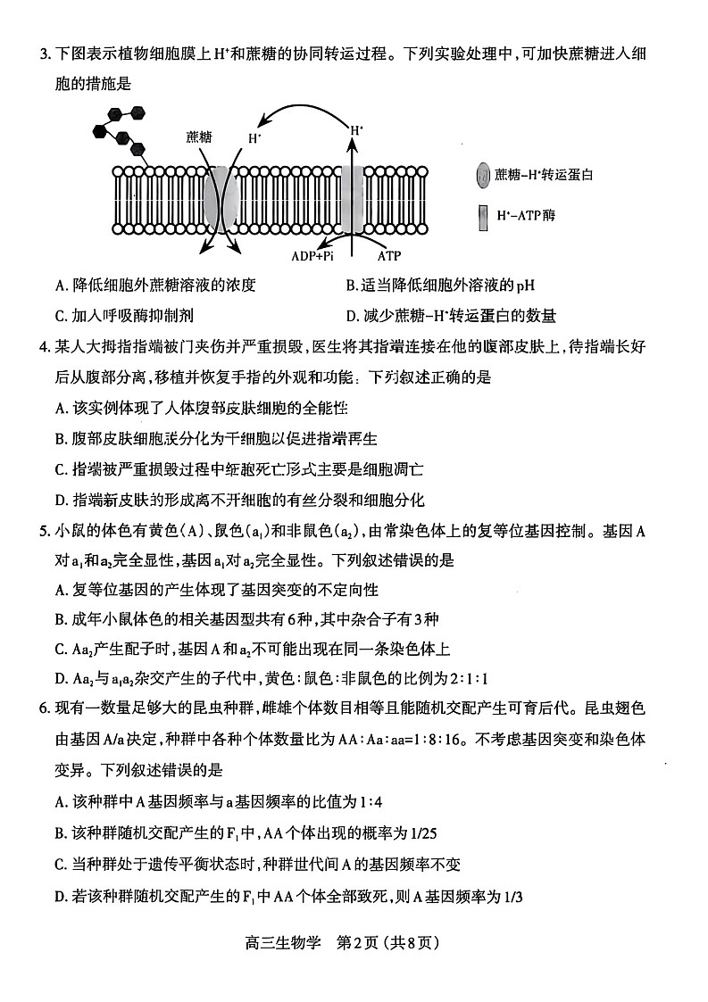 山西省太原市2025-2026学年高三上学期11月期中考试生物试卷第2页