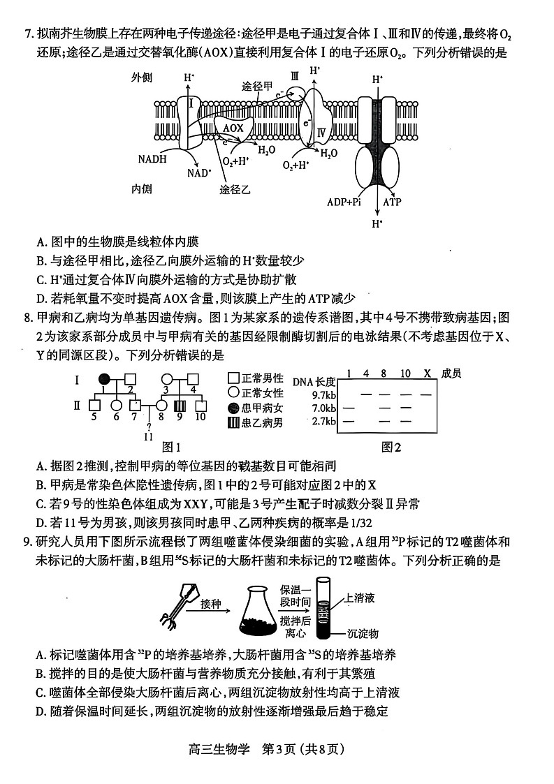 山西省太原市2025-2026学年高三上学期11月期中考试生物试卷第3页