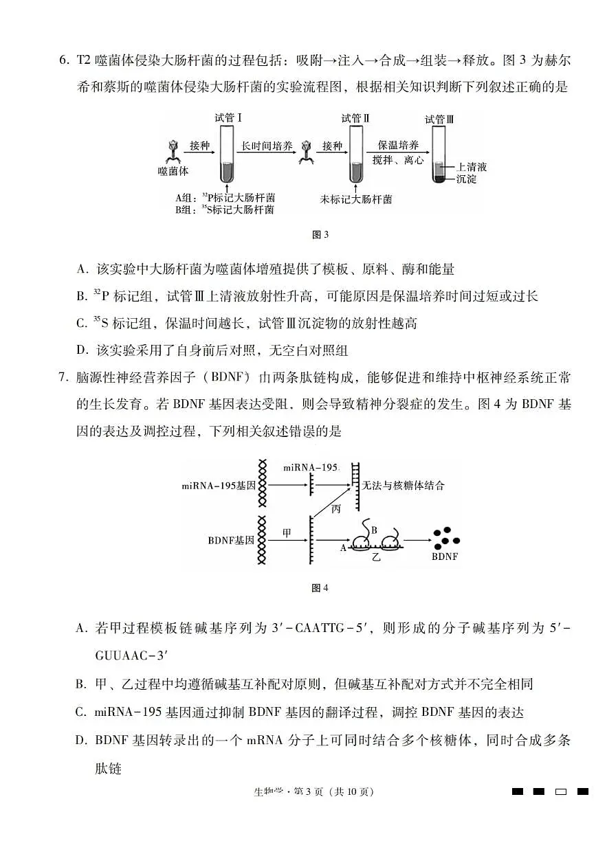 生物试卷-2026届云南三校高考备考实用性联考卷（四）第3页