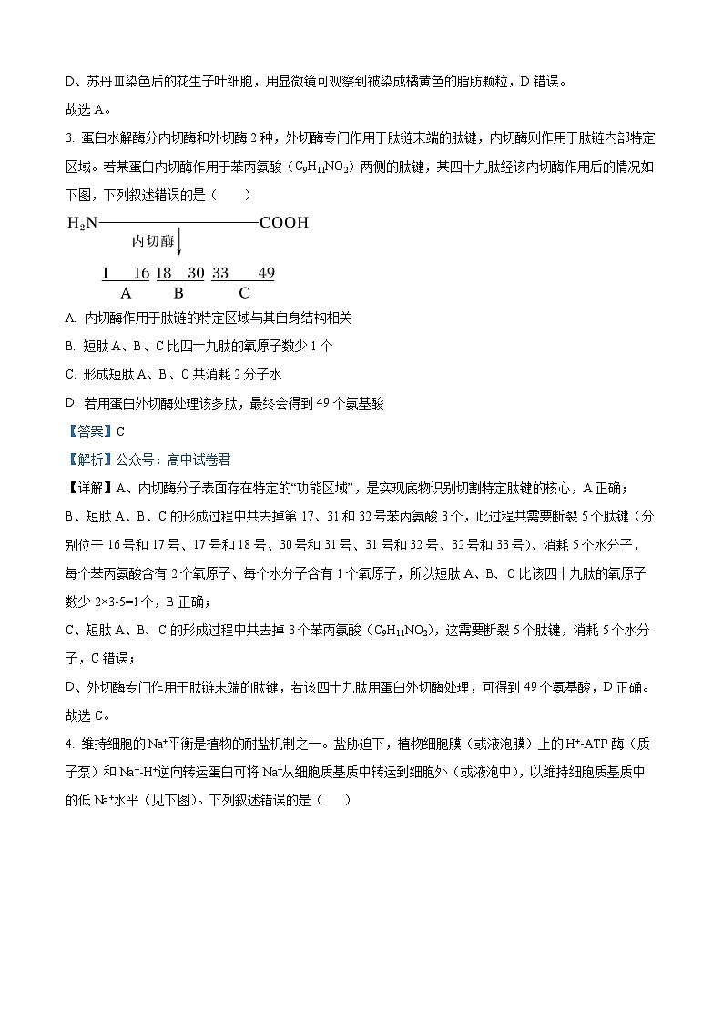 精品解析：黑龙江省哈尔滨师范大学附属中学2025-2026学年高三上学期期中考试生物试题（解析版）第2页