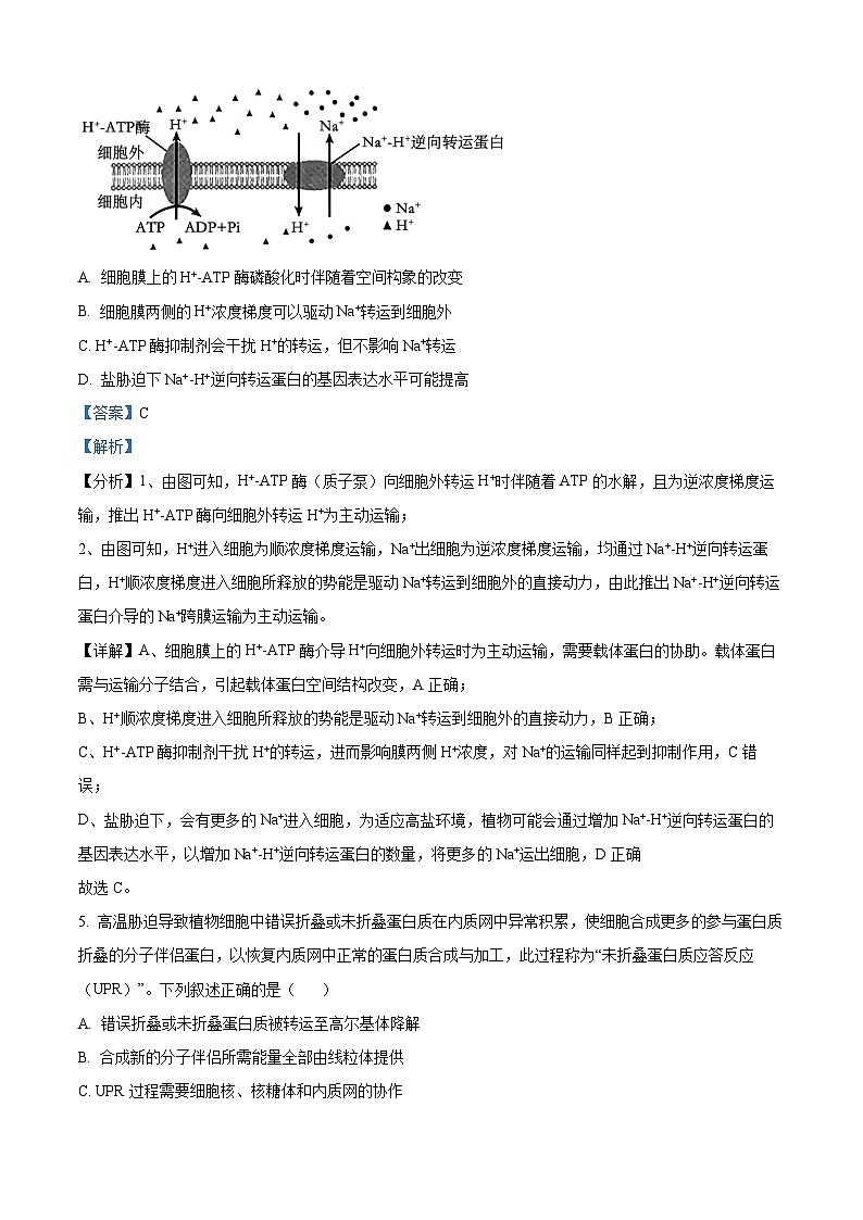 精品解析：黑龙江省哈尔滨师范大学附属中学2025-2026学年高三上学期期中考试生物试题（解析版）第3页