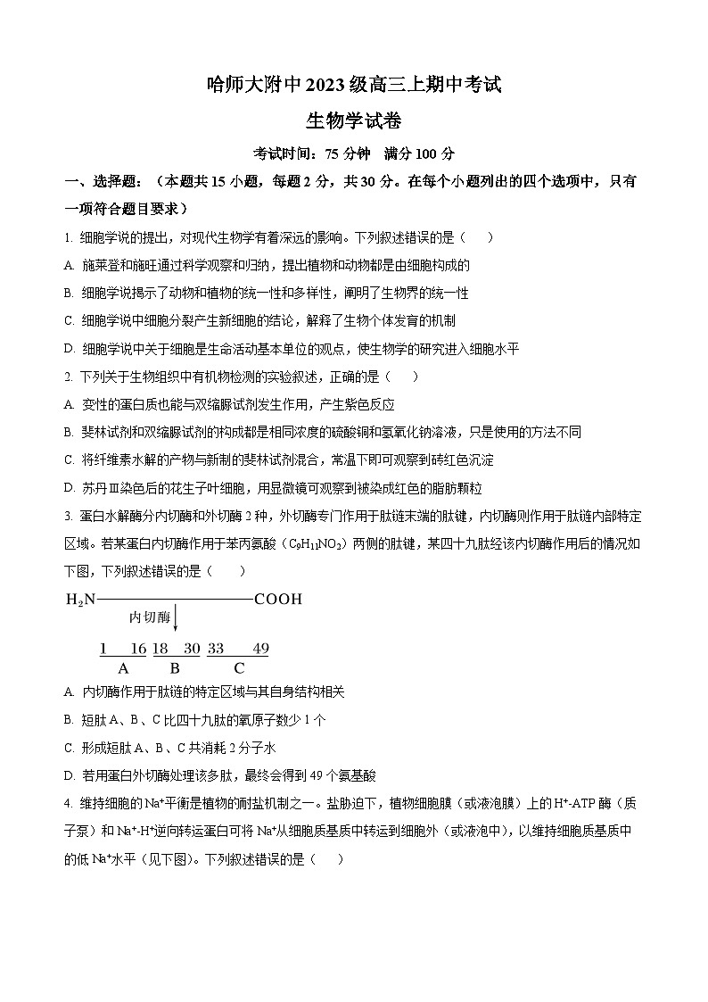 精品解析：黑龙江省哈尔滨师范大学附属中学2025-2026学年高三上学期期中考试生物试题（原卷版）第1页