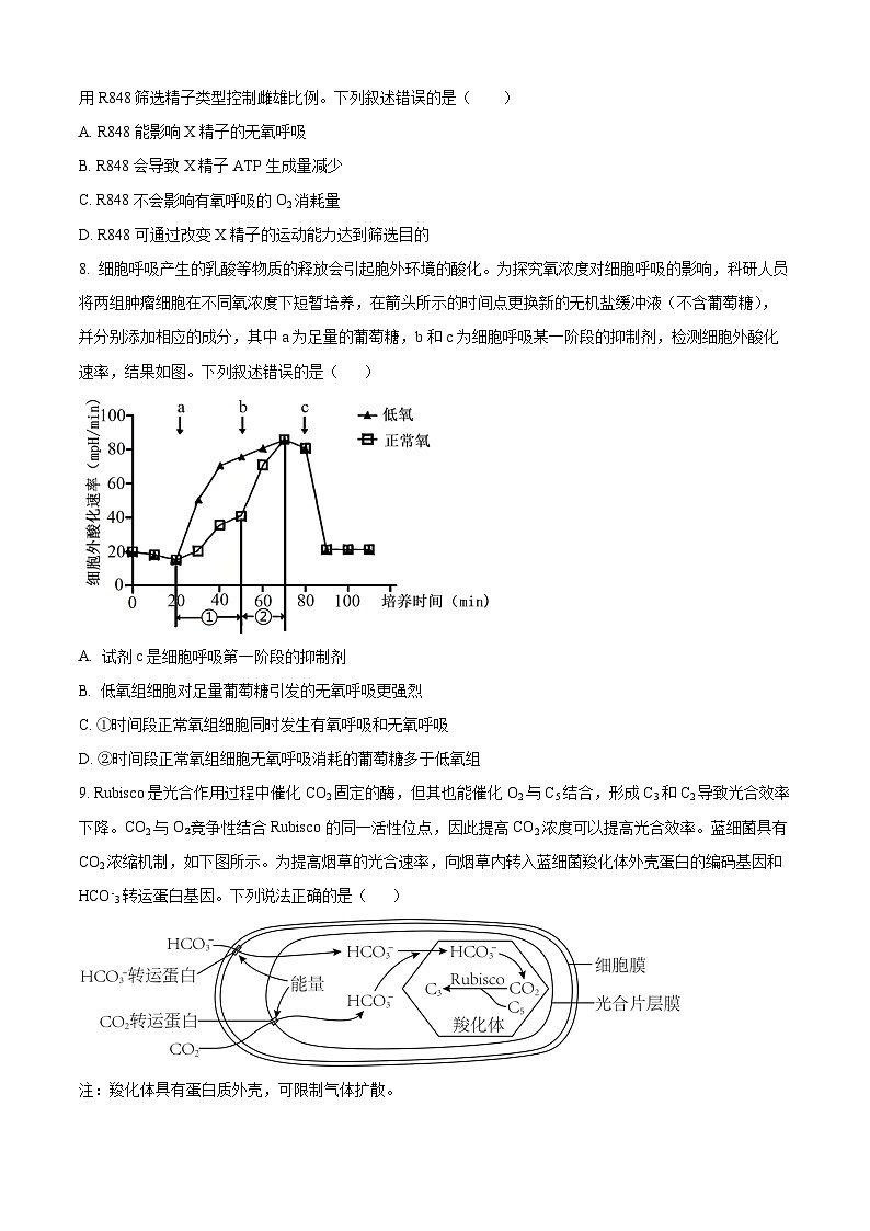 精品解析：黑龙江省哈尔滨师范大学附属中学2025-2026学年高三上学期期中考试生物试题（原卷版）第3页