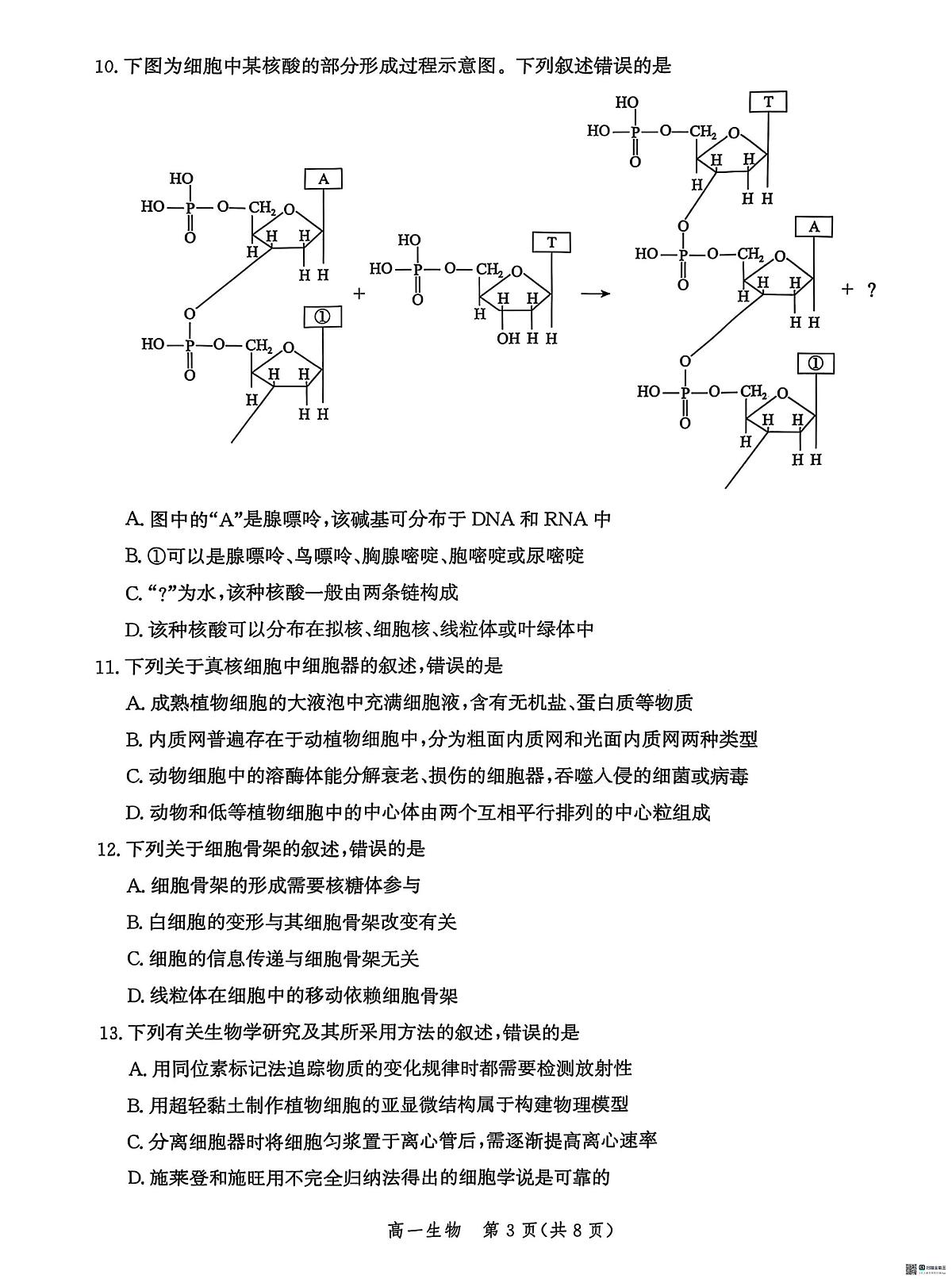 河北省沧州市泊头市八县联考2025-2026学年高一上学期11月期中生物试题第3页