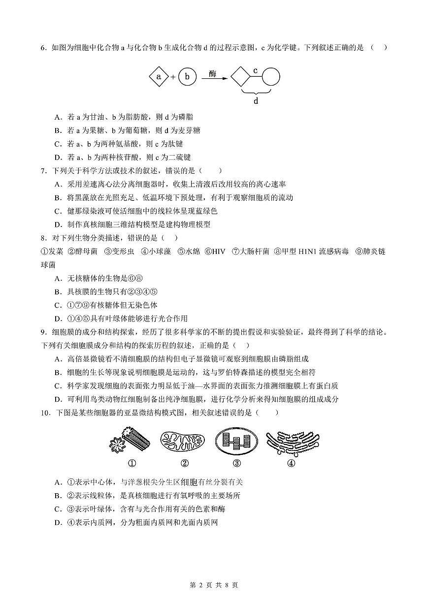 江苏省扬州市江都区江苏省江都中学2025-2026学年高一上学期11月期中生物试题第2页
