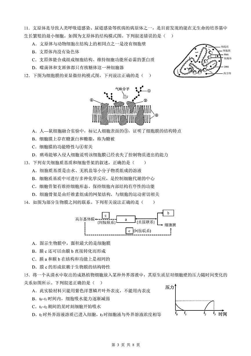 江苏省扬州市江都区江苏省江都中学2025-2026学年高一上学期11月期中生物试题第3页