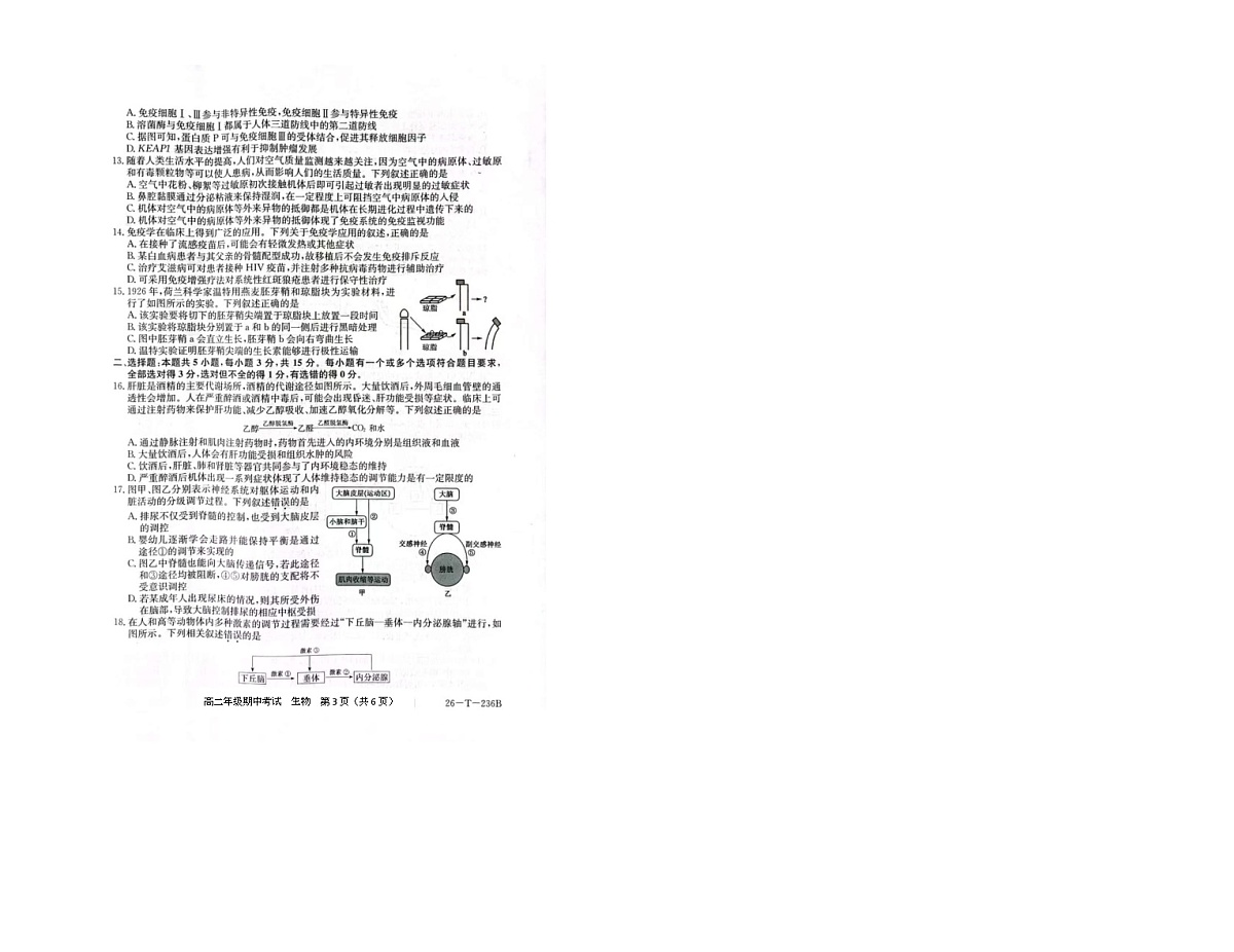 辽宁省朝阳市建平县实验中学2025-2026学年高二上学期11月期中生物试题第3页