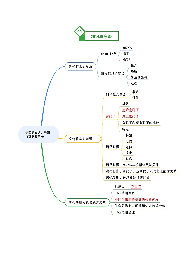 第21讲 基因的表达、基因与性状的关系 Word版含解析第2页