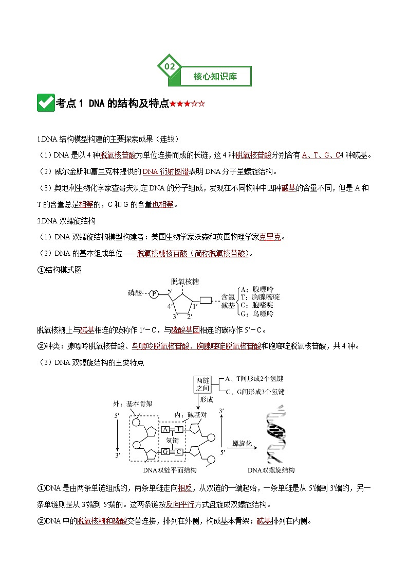 第20讲 DNA分子的结构、复制与基因的本质 Word版含解析第3页