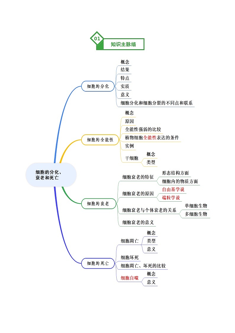 第14讲 细胞的分化、衰老和死亡（原卷版）第2页