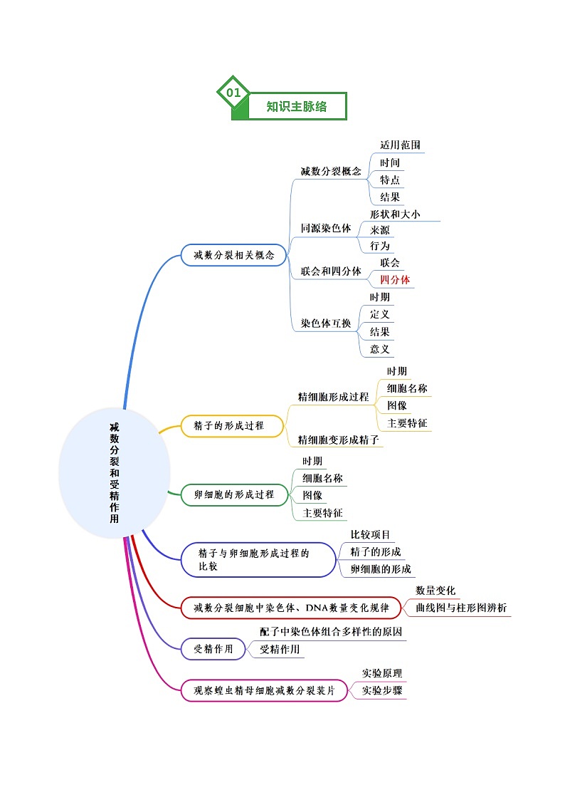 第13讲 减数分裂和受精作用 Word版含解析第2页