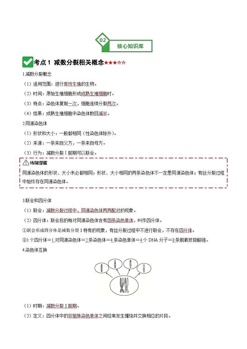 第13讲 减数分裂和受精作用 Word版含解析第3页