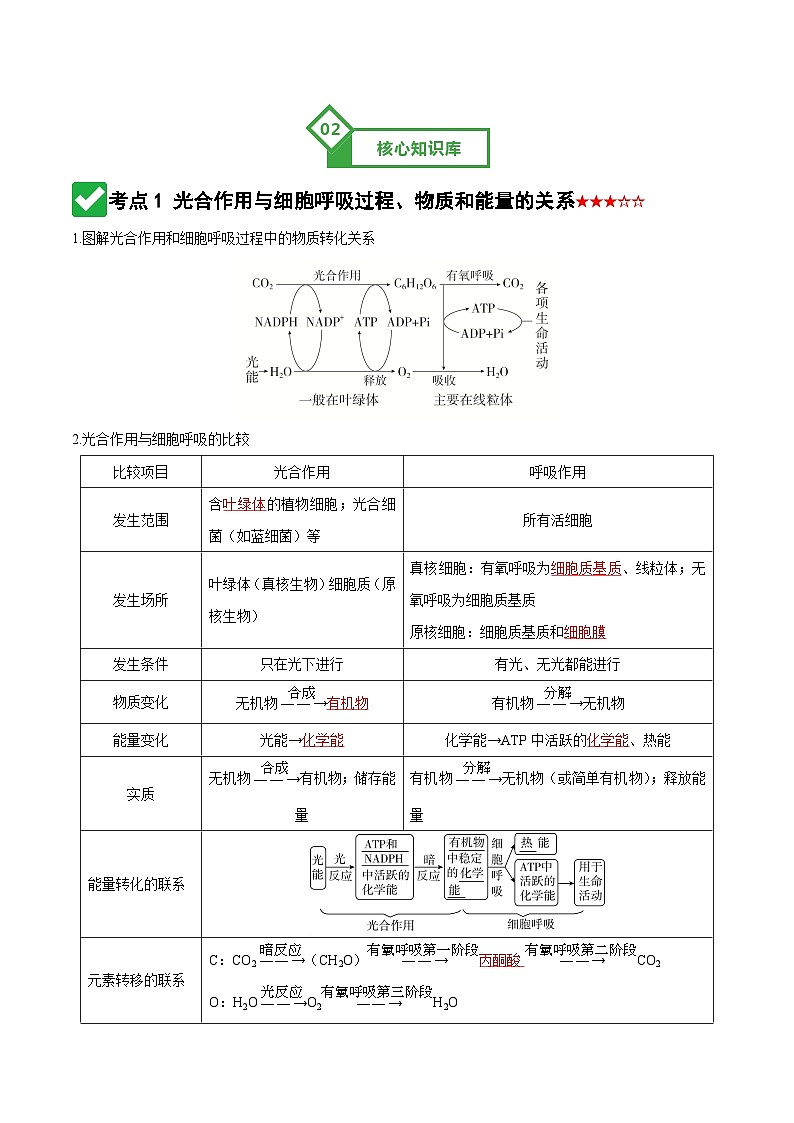 第11讲 细胞代谢综合分析 Word版含解析第3页
