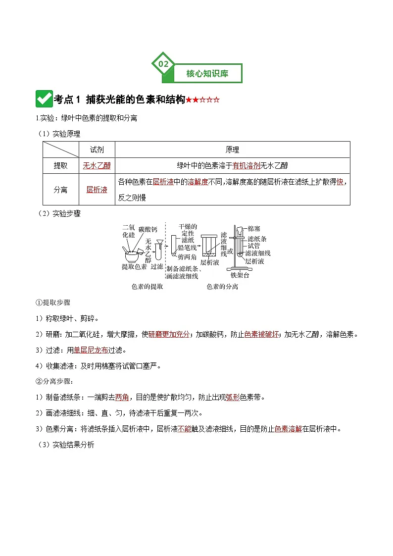 第10讲 光合作用 Word版含解析第3页