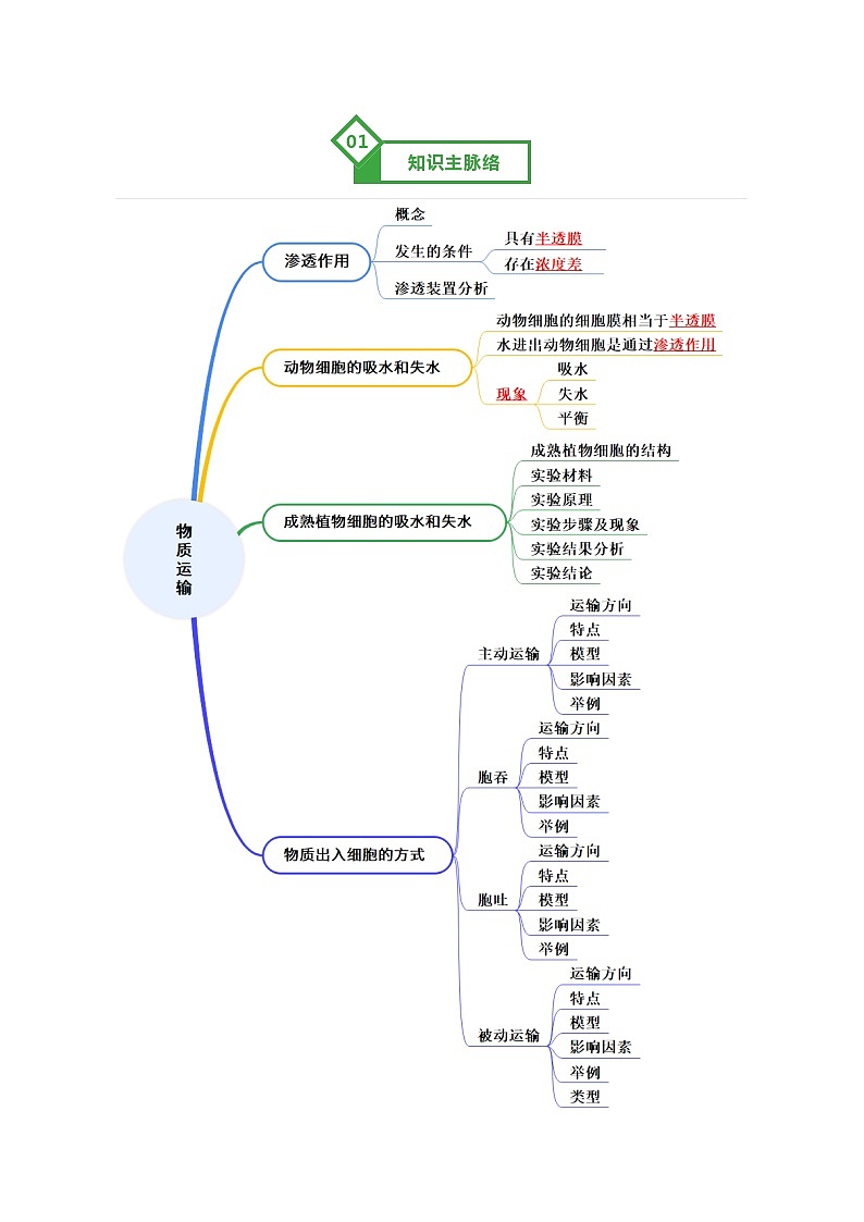 第07讲 物质运输 Word版含解析第2页