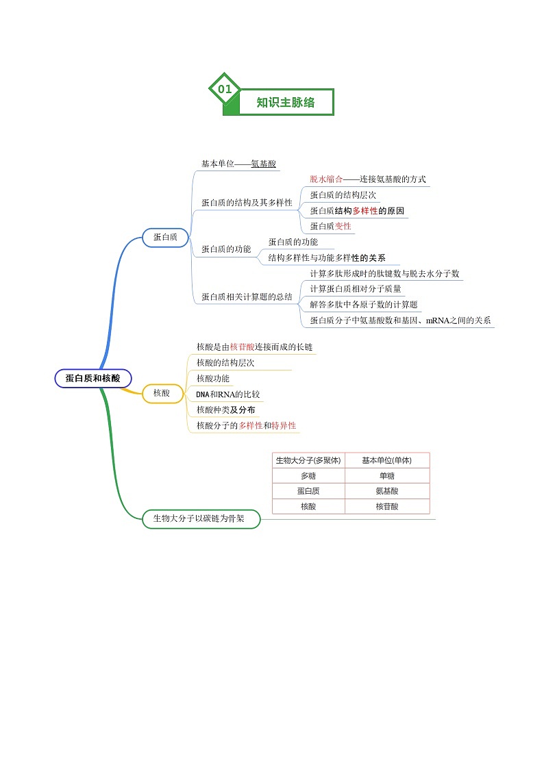 第04讲 蛋白质和核酸 Word版含解析第2页