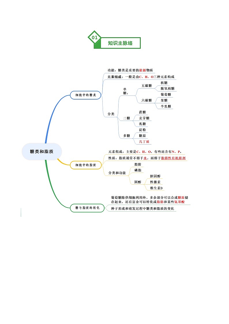 第03讲 糖类和脂质（原卷版）第2页