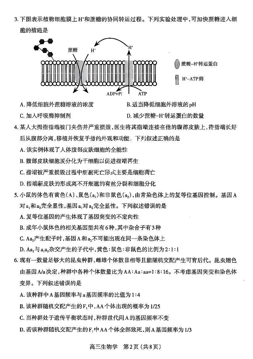 山西省太原市2026届高三上学期11月期中学业诊断生物试题+答案第2页