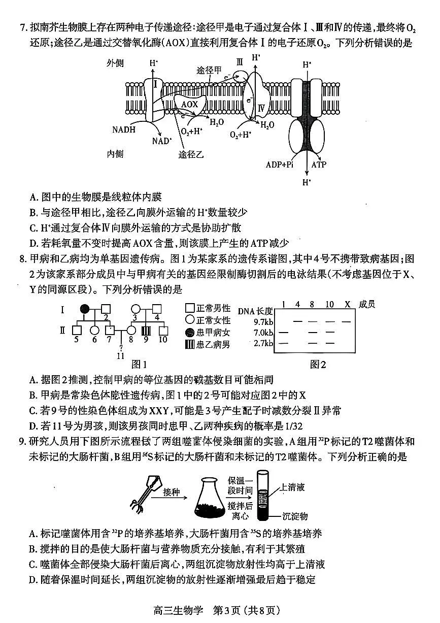 山西省太原市2026届高三上学期11月期中学业诊断生物试题+答案第3页