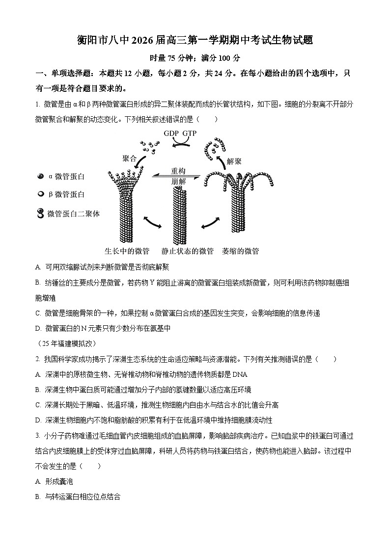 湖南省衡阳市雁峰区衡阳市第八中学2025-2026学年高三上学期11月期中生物试题（原卷版）第1页