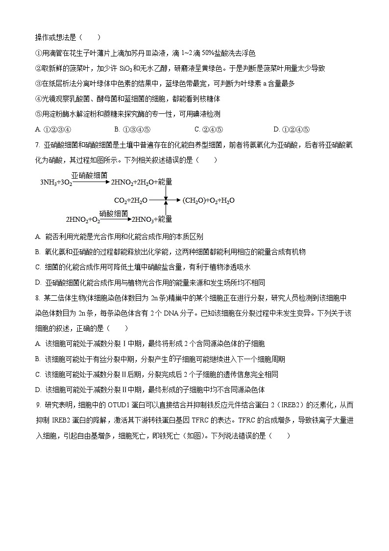 湖南省衡阳市雁峰区衡阳市第八中学2025-2026学年高三上学期11月期中生物试题（原卷版）第3页