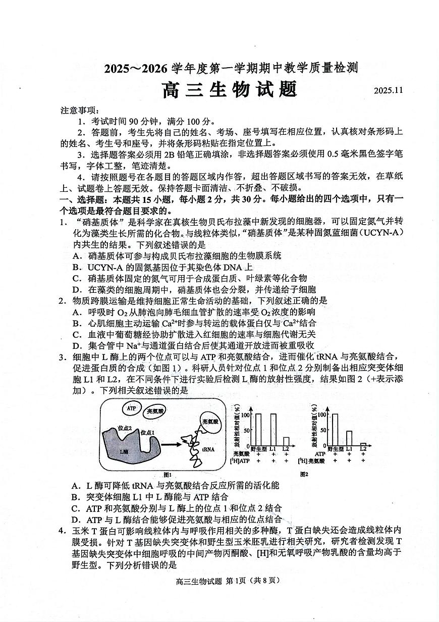山东省聊城市2025-2026学年度高三年级第一学期期中教学质量检测生物试卷（含答案）第1页