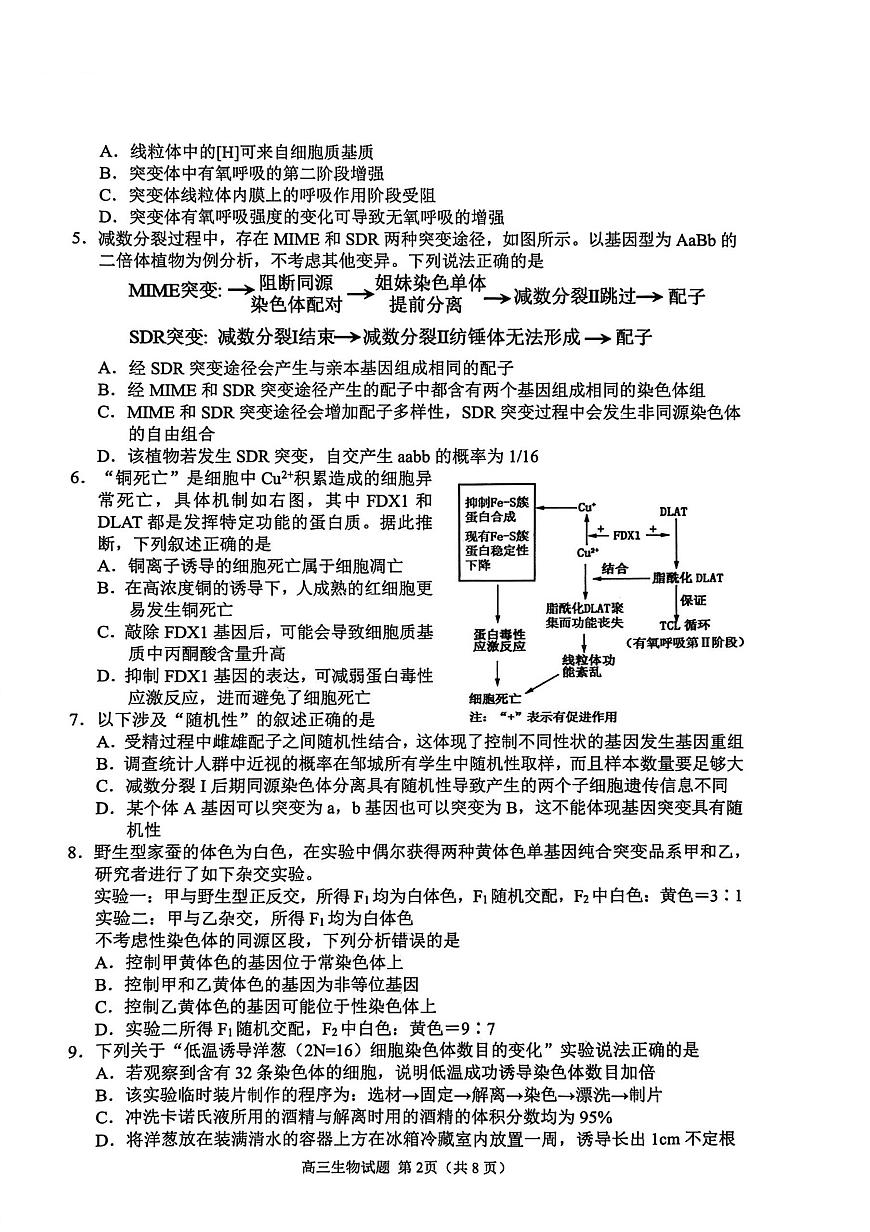 山东省聊城市2025-2026学年度高三年级第一学期期中教学质量检测生物试卷（含答案）第2页
