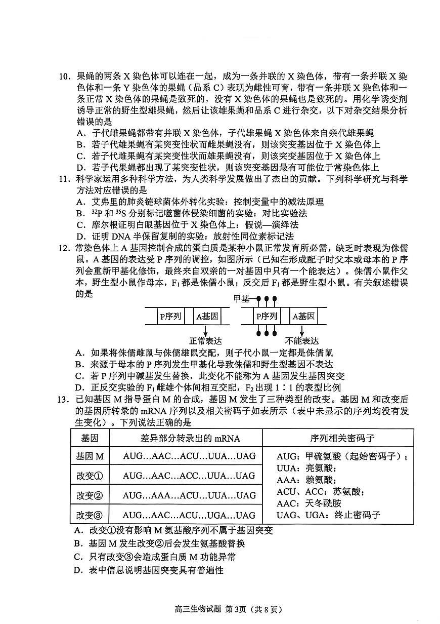 山东省聊城市2025-2026学年度高三年级第一学期期中教学质量检测生物试卷（含答案）第3页