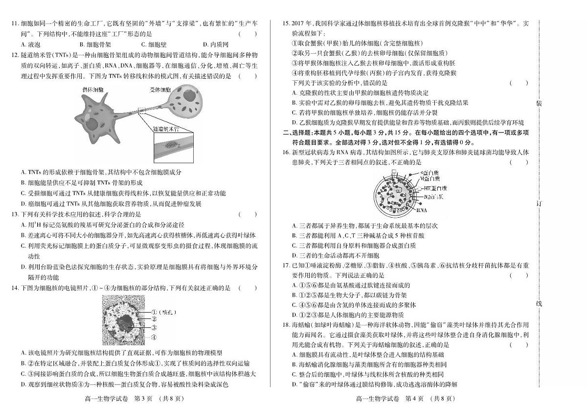 黑龙江省绥化市新时代2025-2026学年高一上学期11月期中联考生物试卷（含答案）第2页