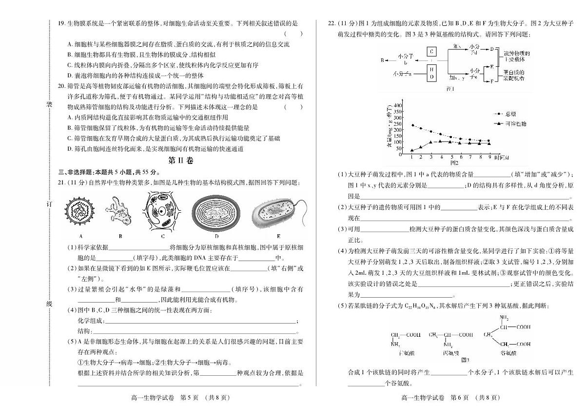 黑龙江省绥化市新时代2025-2026学年高一上学期11月期中联考生物试卷（含答案）第3页