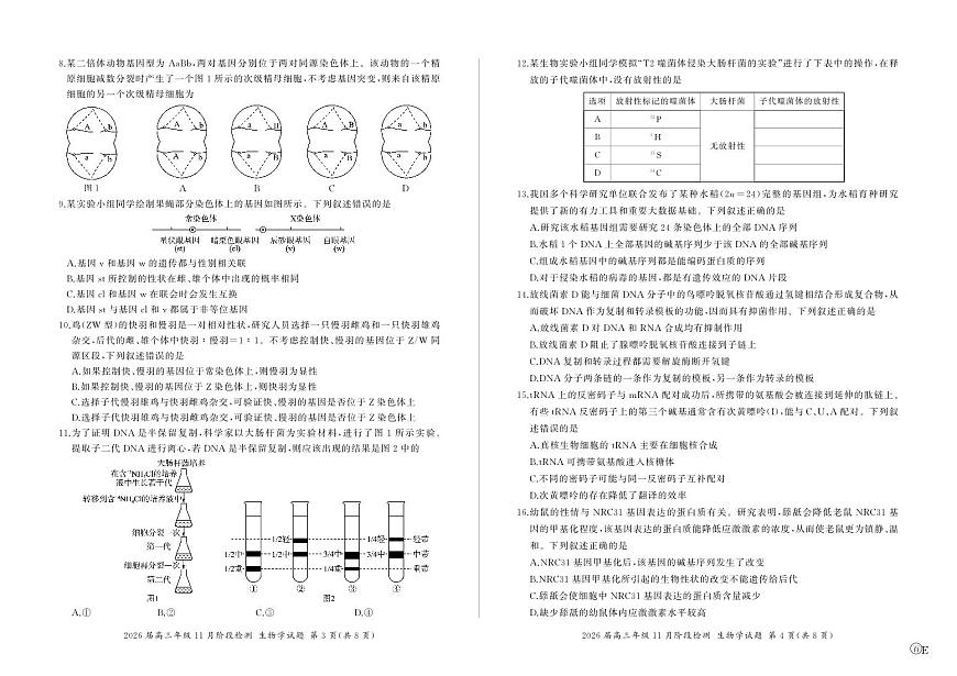 河南省百师联盟2026届高三年级11月阶段检测生物第2页
