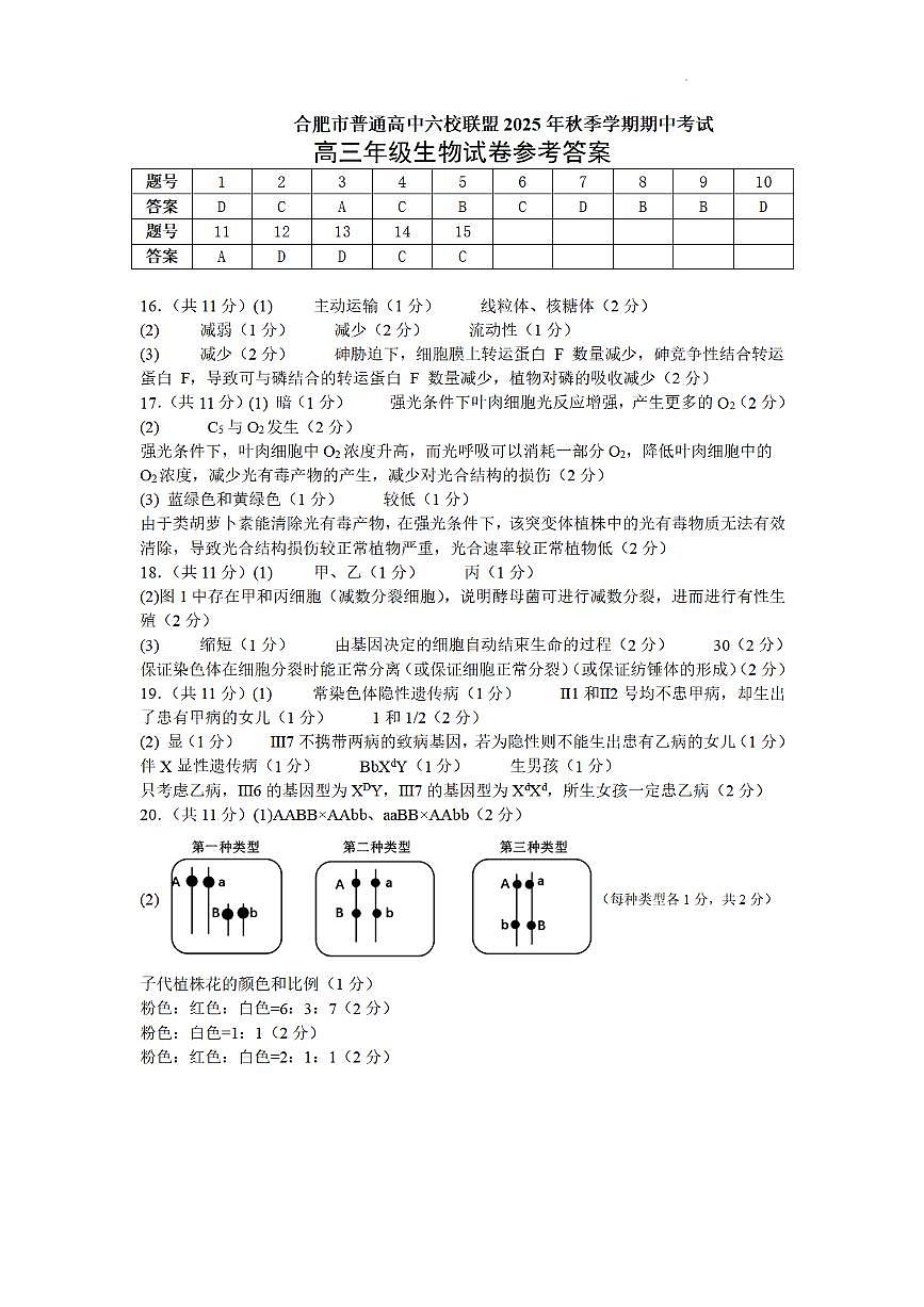合肥市普通高中六校联盟2025年秋季学期期中考试生物答案第1页