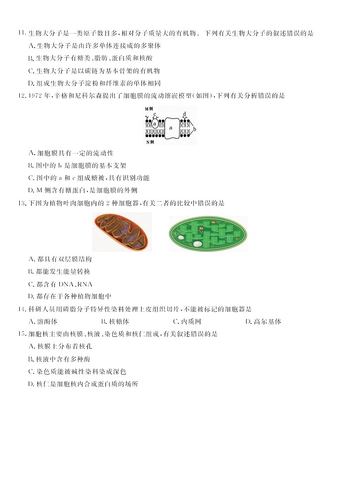 安徽省皖江名校联盟2025-2026学年高一上学期11月期中考试生物试卷第3页