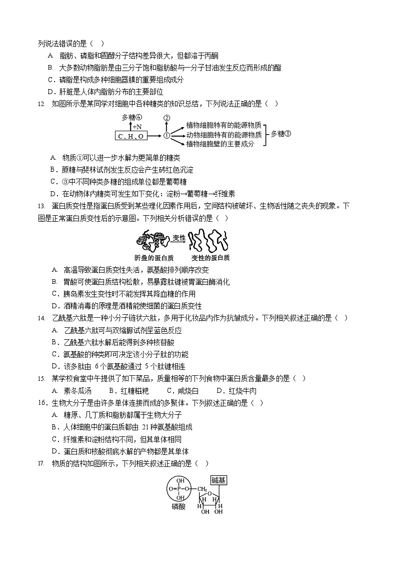 成都市第七中学2025-2026学年高一上学期11月考试生物试卷第3页