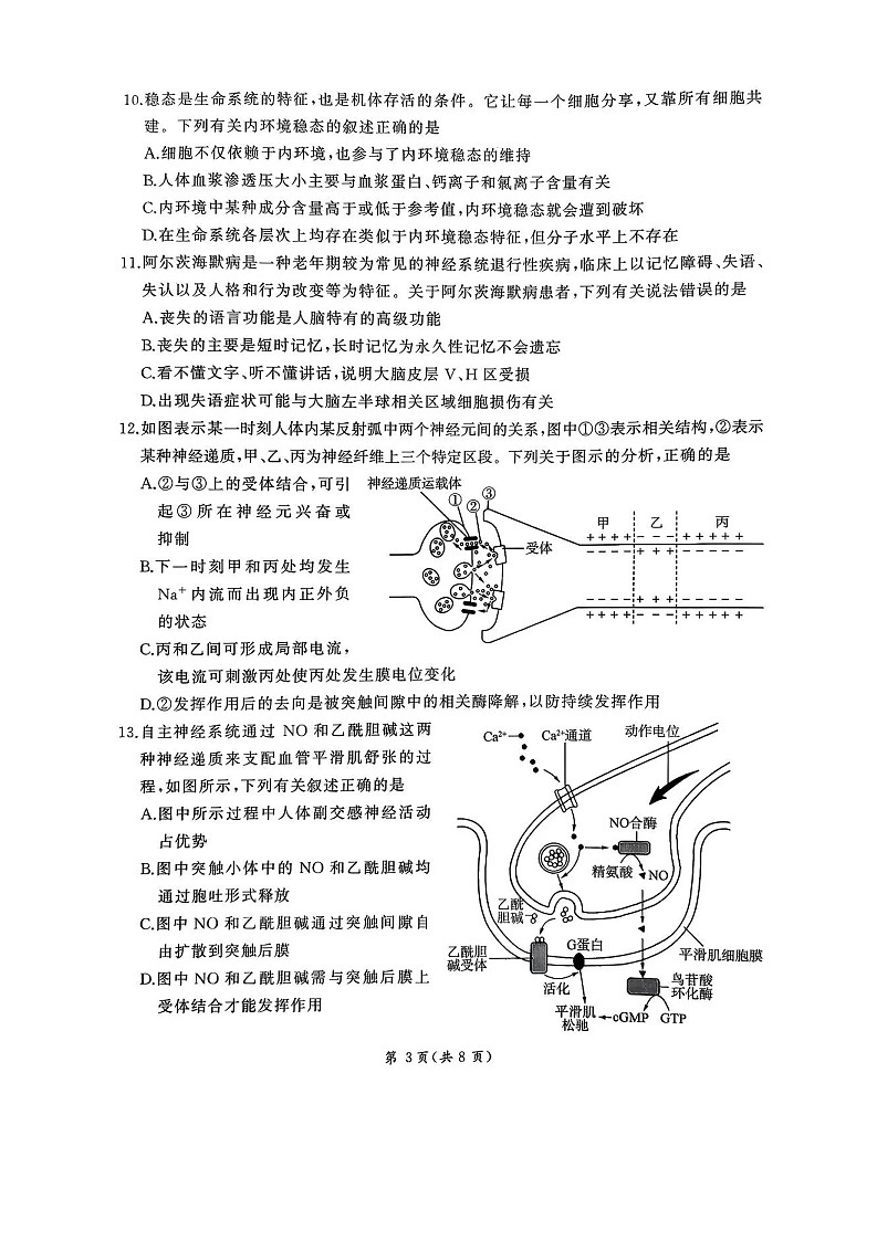 河北省联考2025-2026学年高三上学期11月期中考试生物试卷第3页