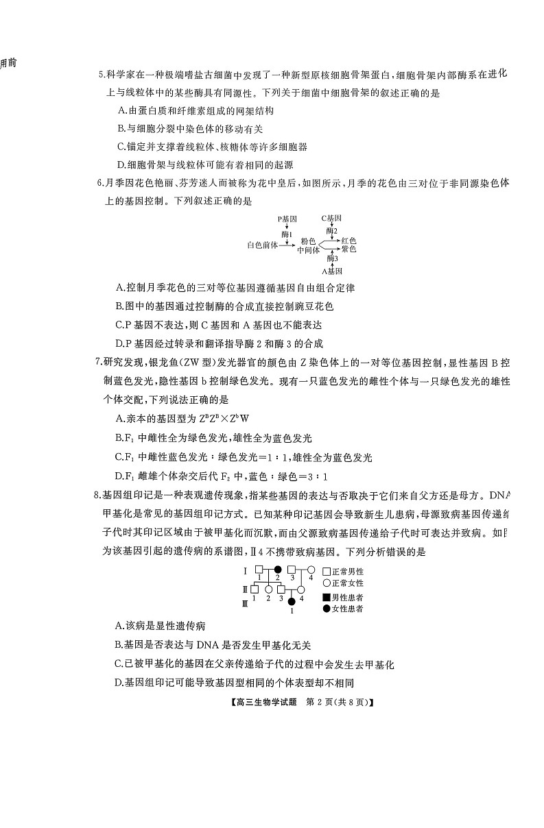 湖南省长沙市长望浏宁联考2025-2026学年高三上学期11月期中考试生物试卷第2页