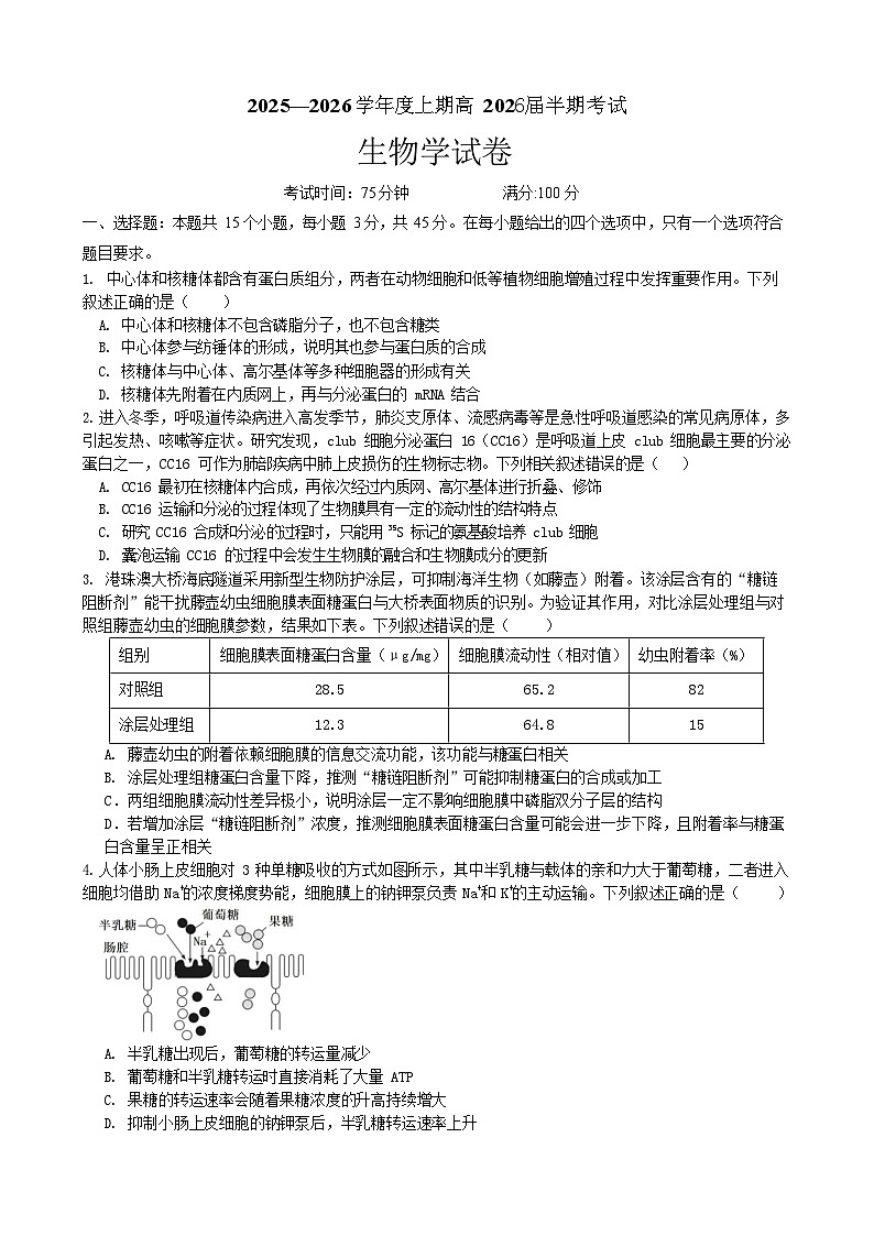 成都市第七中学2025-2026学年高三上学期11月考试生物试卷第1页