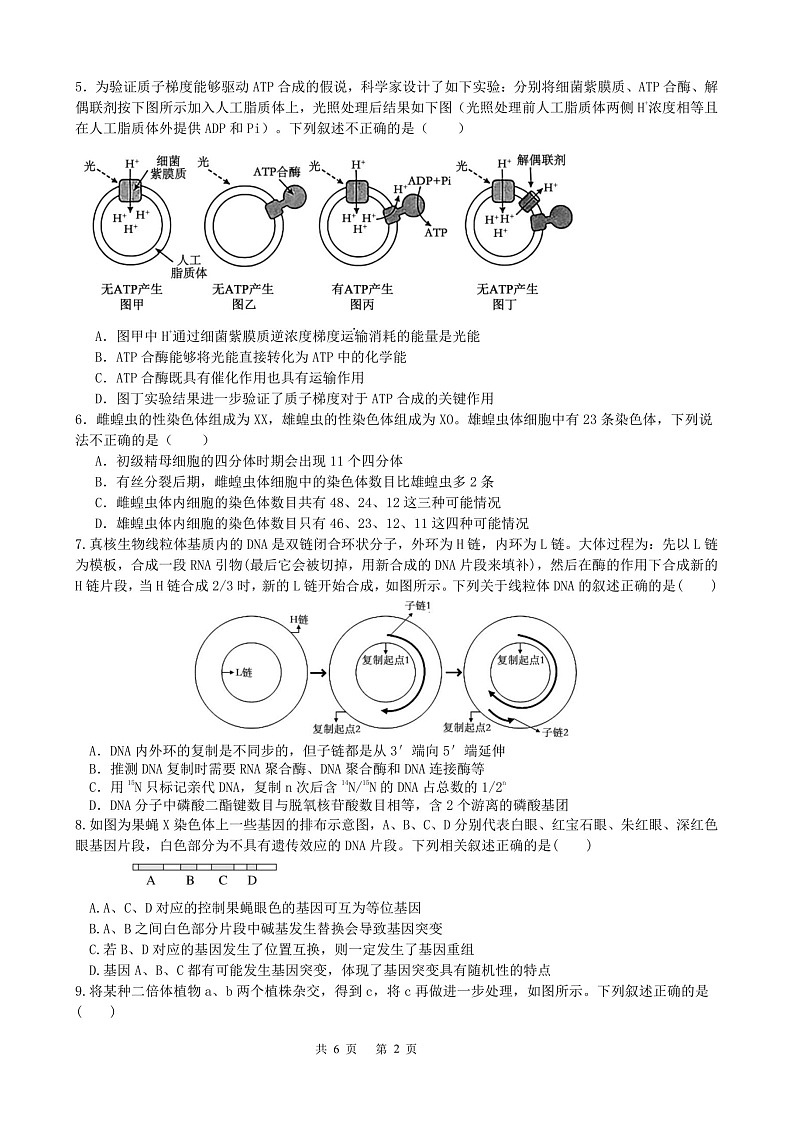 成都市第七中学2025-2026学年高三上学期11月考试生物试卷第2页