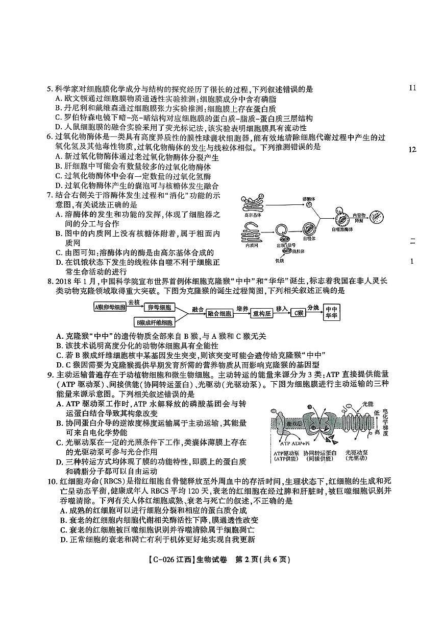 江西省九校2026届高三上学期11月期中考生物试题+答案第2页
