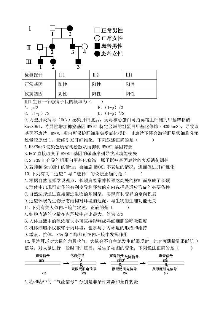 东北师大附中2026届高三上学期11月第二次摸底考生物试卷+答案第3页