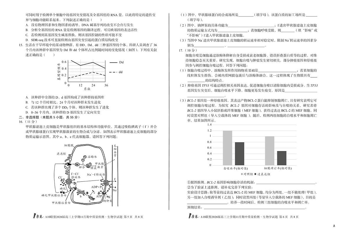 安徽1号卷A10联盟2026届高三上学期11月期中质量检测生物试卷（含答案）第3页