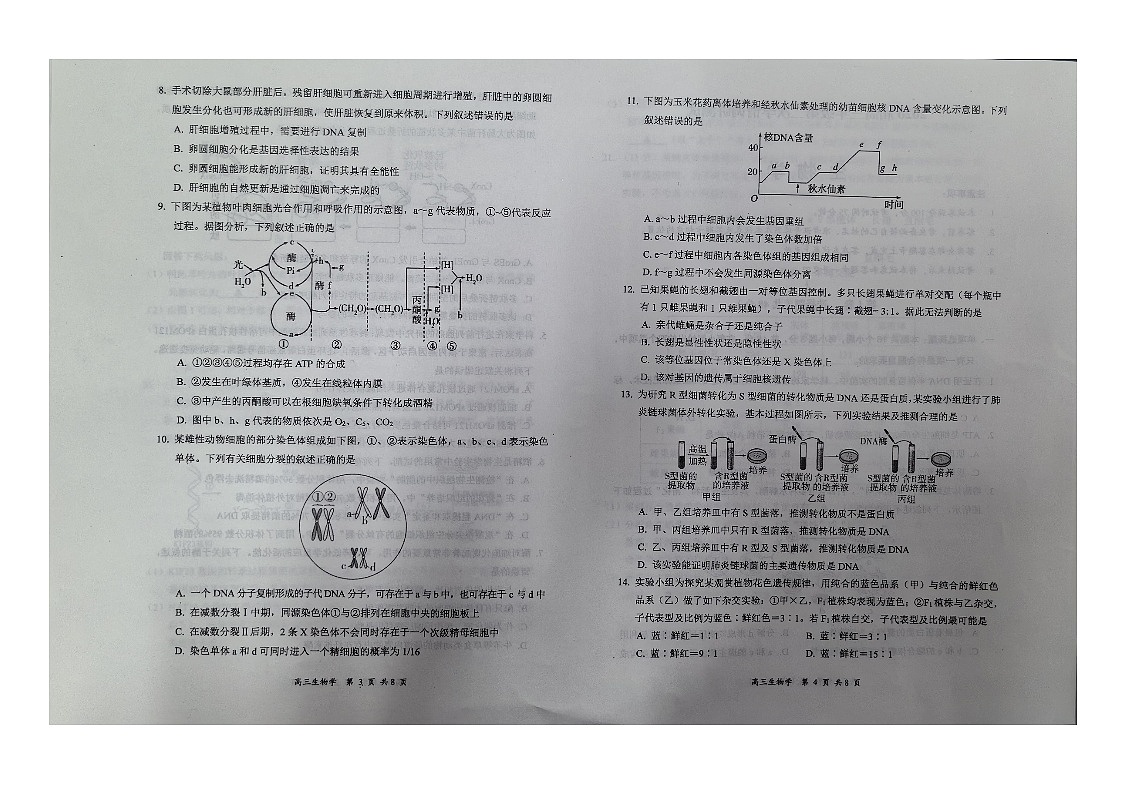 生物第2页