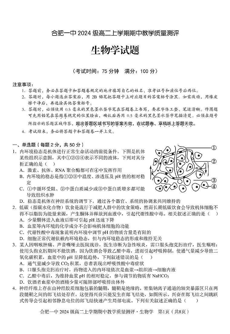 安徽省合肥市第一中学2025-2026学年高二上学期11月期中生物试题第1页