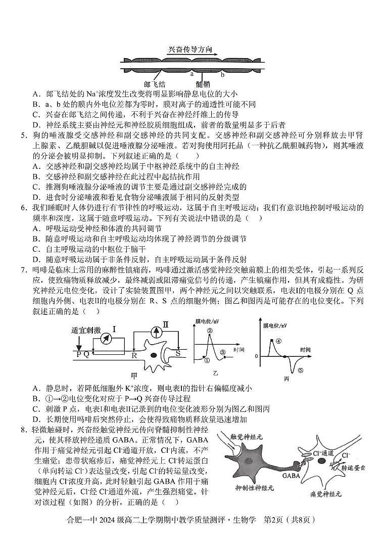 安徽省合肥市第一中学2025-2026学年高二上学期11月期中生物试题第2页