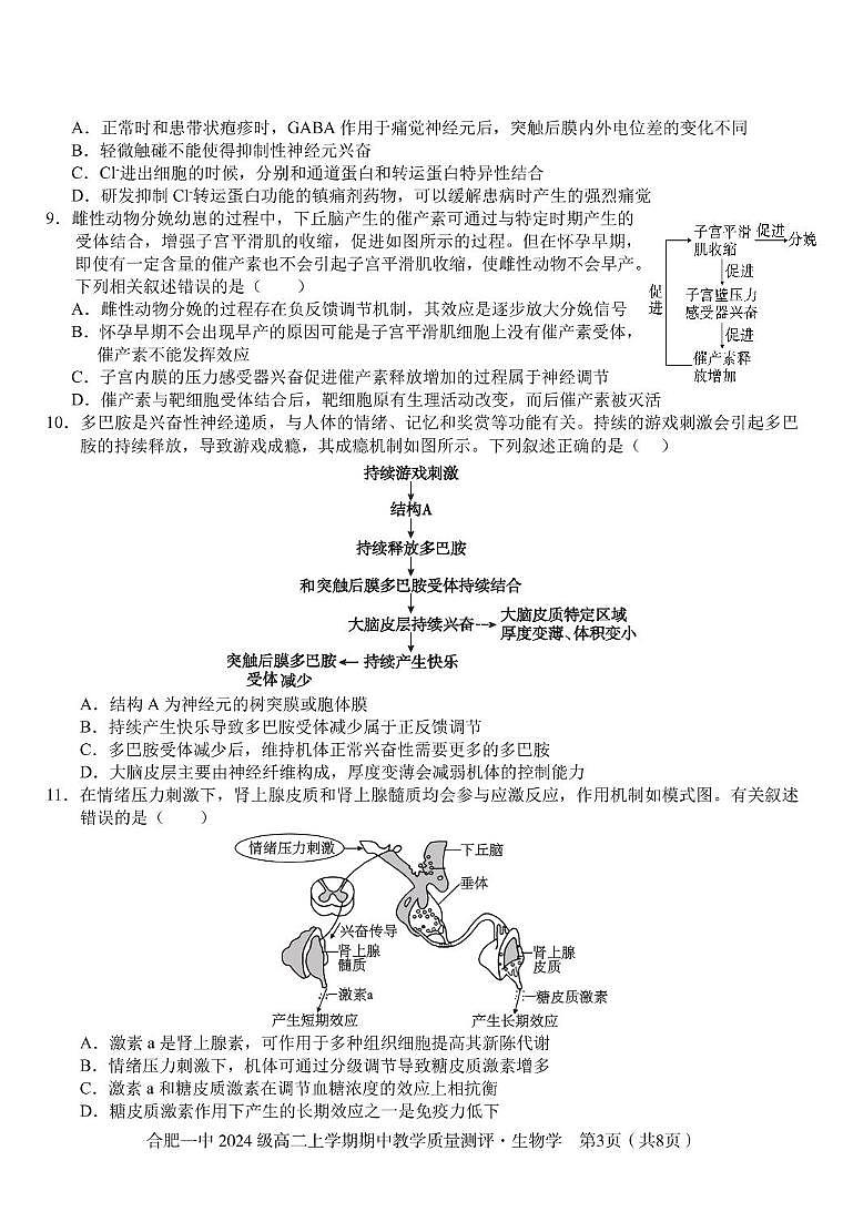 安徽省合肥市第一中学2025-2026学年高二上学期11月期中生物试题第3页