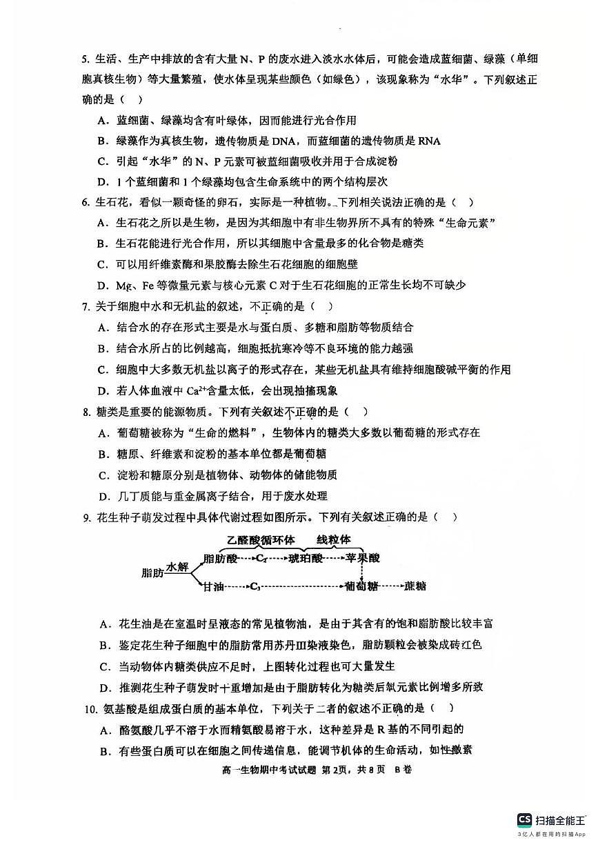 广东省深圳市深圳中学2025—2026学年高一上学期期中考试生物试卷第2页